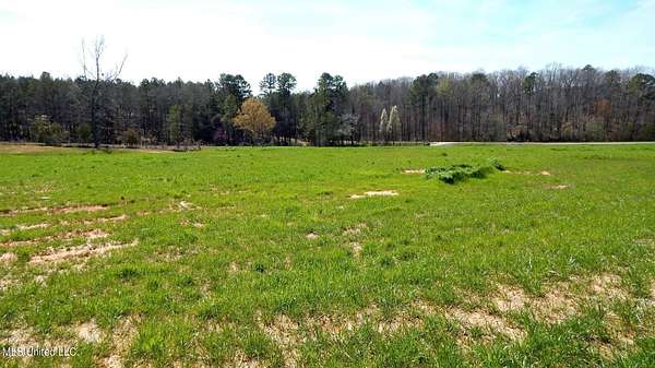 2 Acres of Residential Land for Sale in Gore Springs, Mississippi