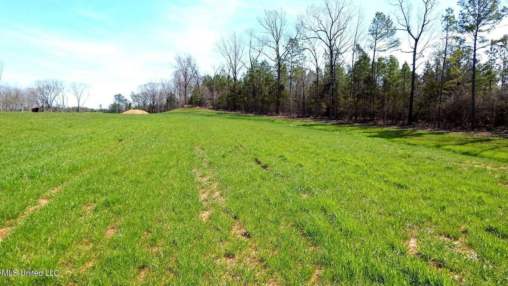 2 Acres of Residential Land for Sale in Gore Springs, Mississippi