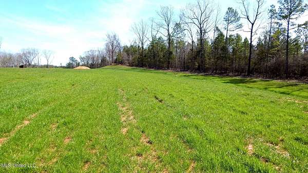 2 Acres of Residential Land for Sale in Gore Springs, Mississippi