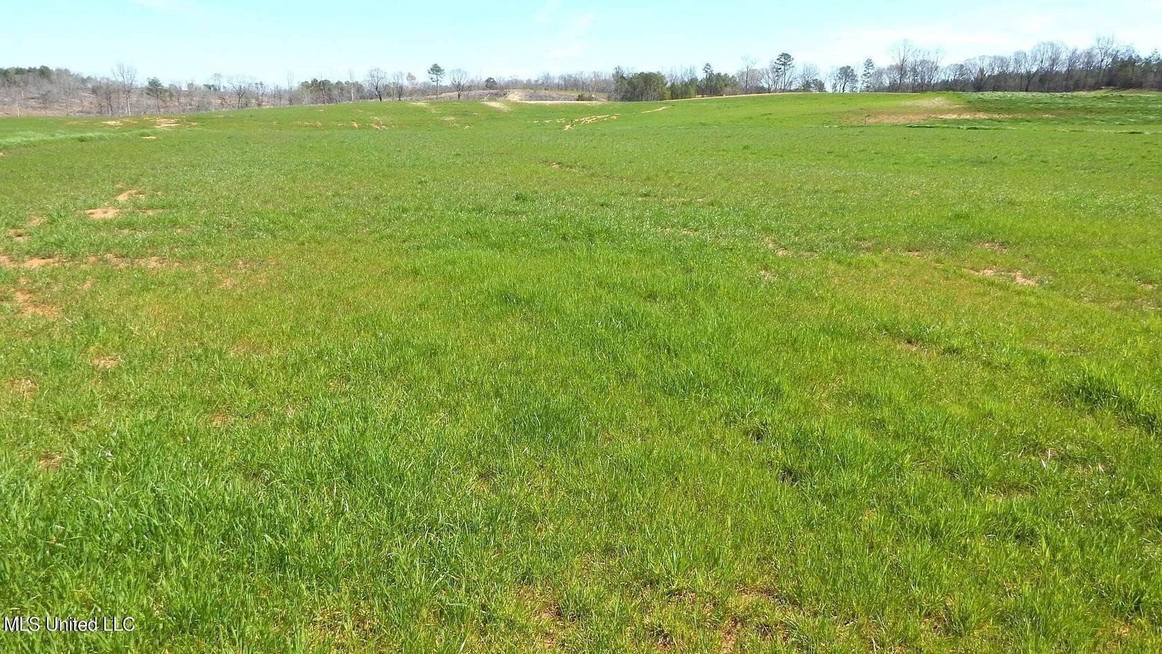 2.65 Acres of Residential Land for Sale in Gore Springs, Mississippi