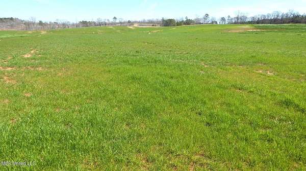 2.65 Acres of Residential Land for Sale in Gore Springs, Mississippi