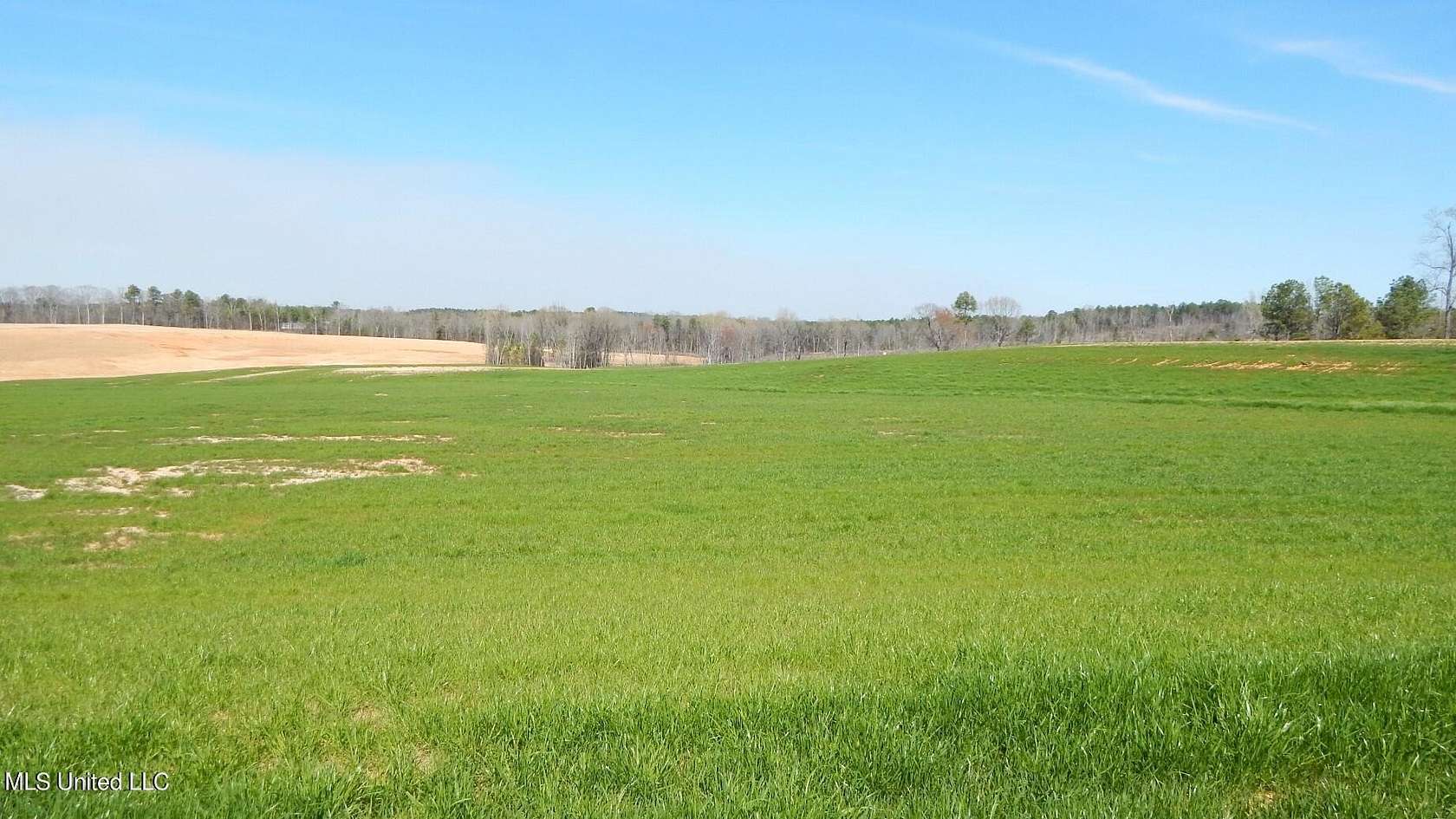 3 Acres of Residential Land for Sale in Gore Springs, Mississippi