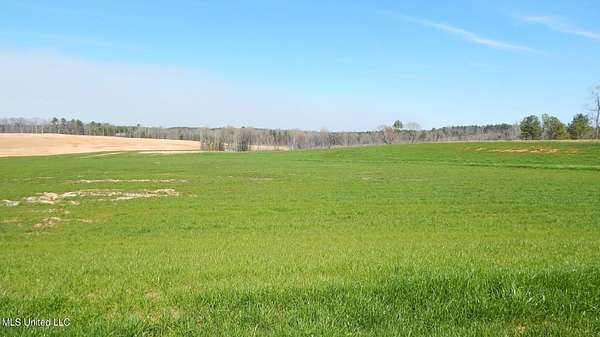 3 Acres of Residential Land for Sale in Gore Springs, Mississippi