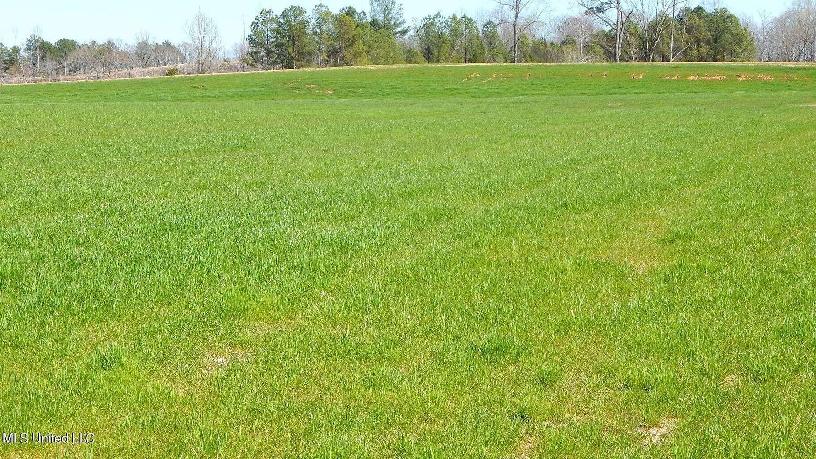 3.48 Acres of Residential Land for Sale in Gore Springs, Mississippi