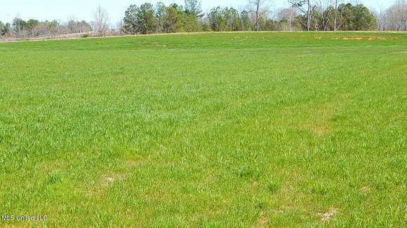 3.5 Acres of Residential Land for Sale in Gore Springs, Mississippi