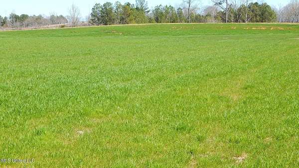 3.48 Acres of Residential Land for Sale in Gore Springs, Mississippi
