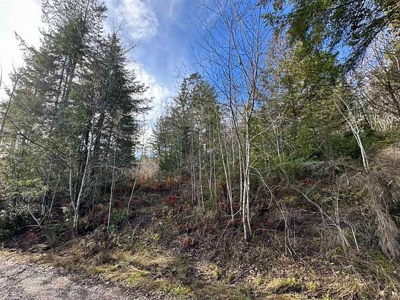 5.1 Acres of Land for Sale in Belfair, Washington