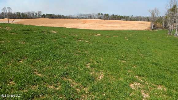 8.6 Acres of Residential Land for Sale in Gore Springs, Mississippi