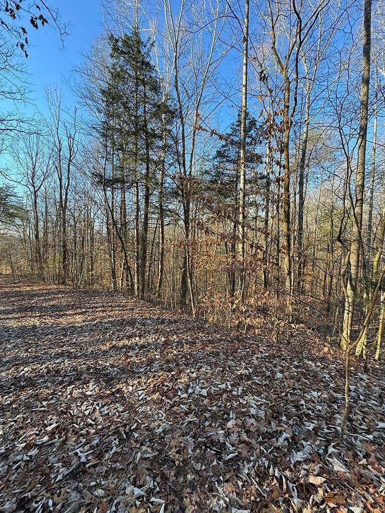 2.2 Acres of Residential Land for Sale in Albany, Kentucky