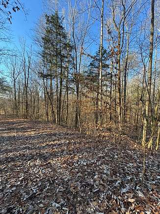 2.2 Acres of Residential Land for Sale in Albany, Kentucky