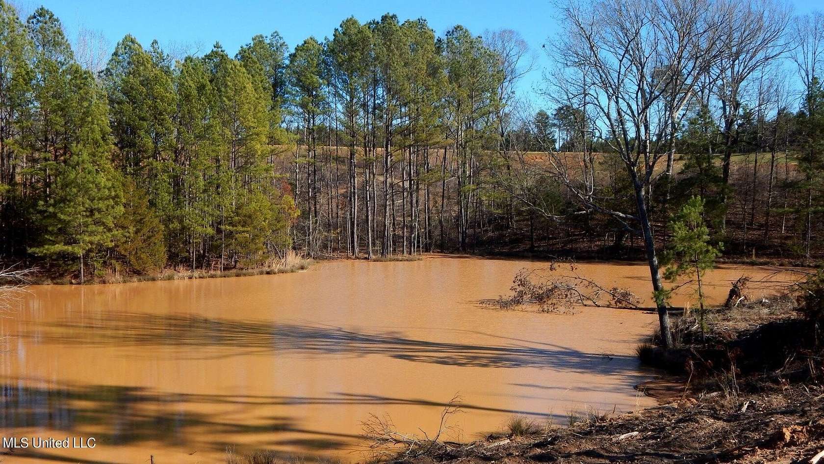 8.78 Acres of Land for Sale in Gore Springs, Mississippi