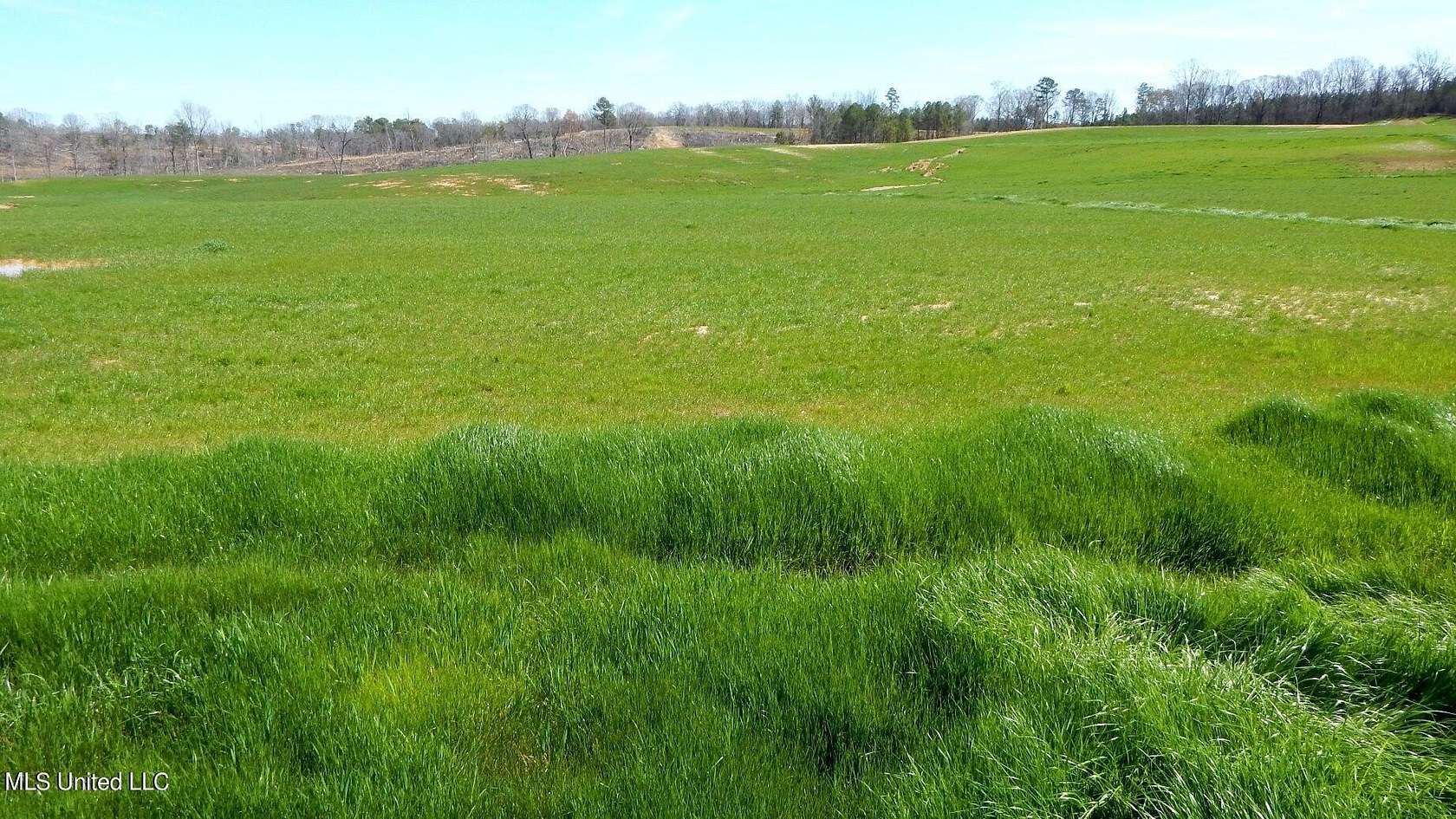 3 Acres of Residential Land for Sale in Gore Springs, Mississippi