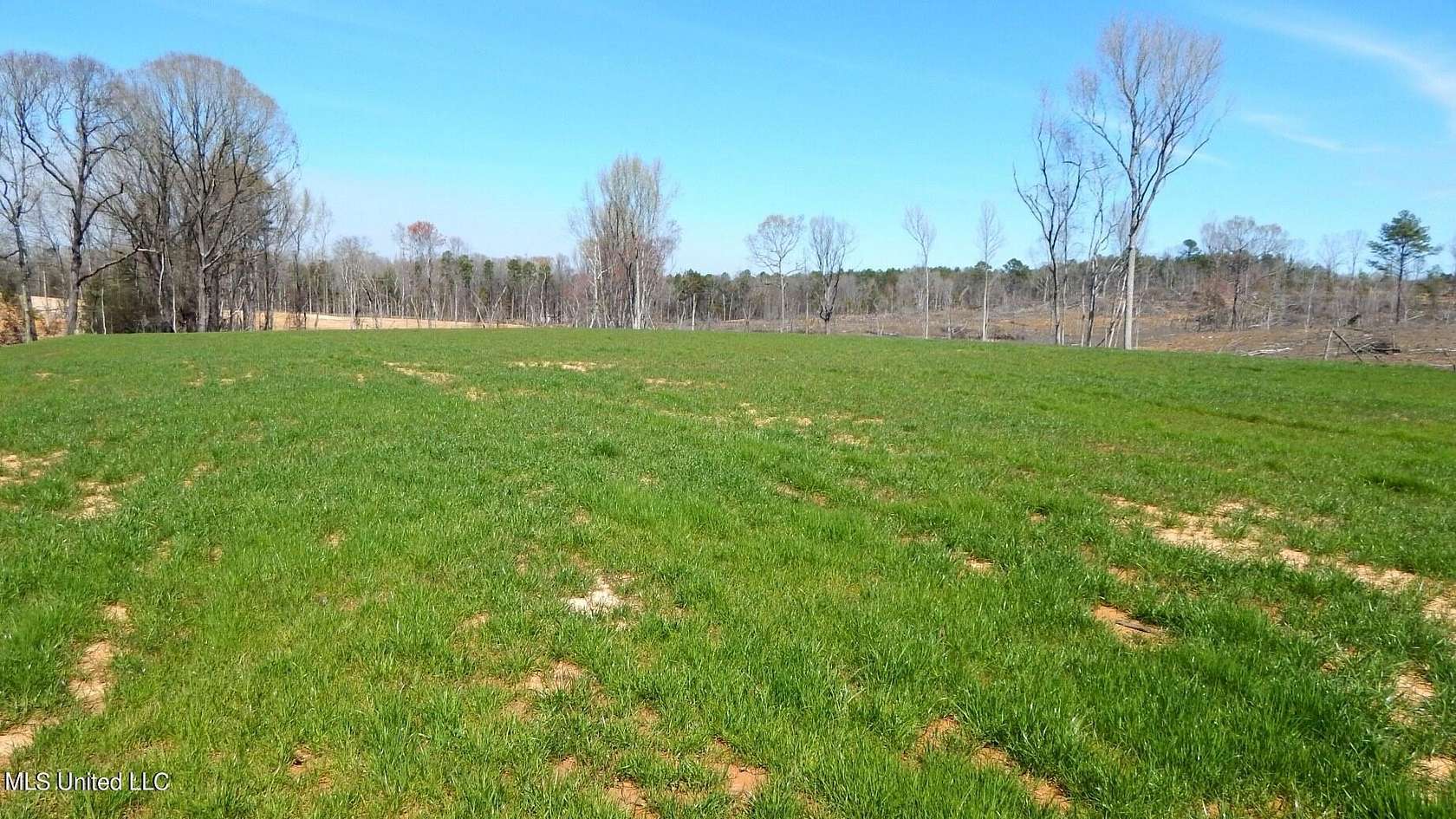 9.62 Acres of Residential Land for Sale in Gore Springs, Mississippi