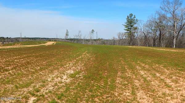47.7 Acres of Recreational Land for Sale in Gore Springs, Mississippi