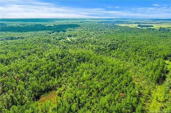 12.5 Acres of Land for Sale in Vinton, Louisiana