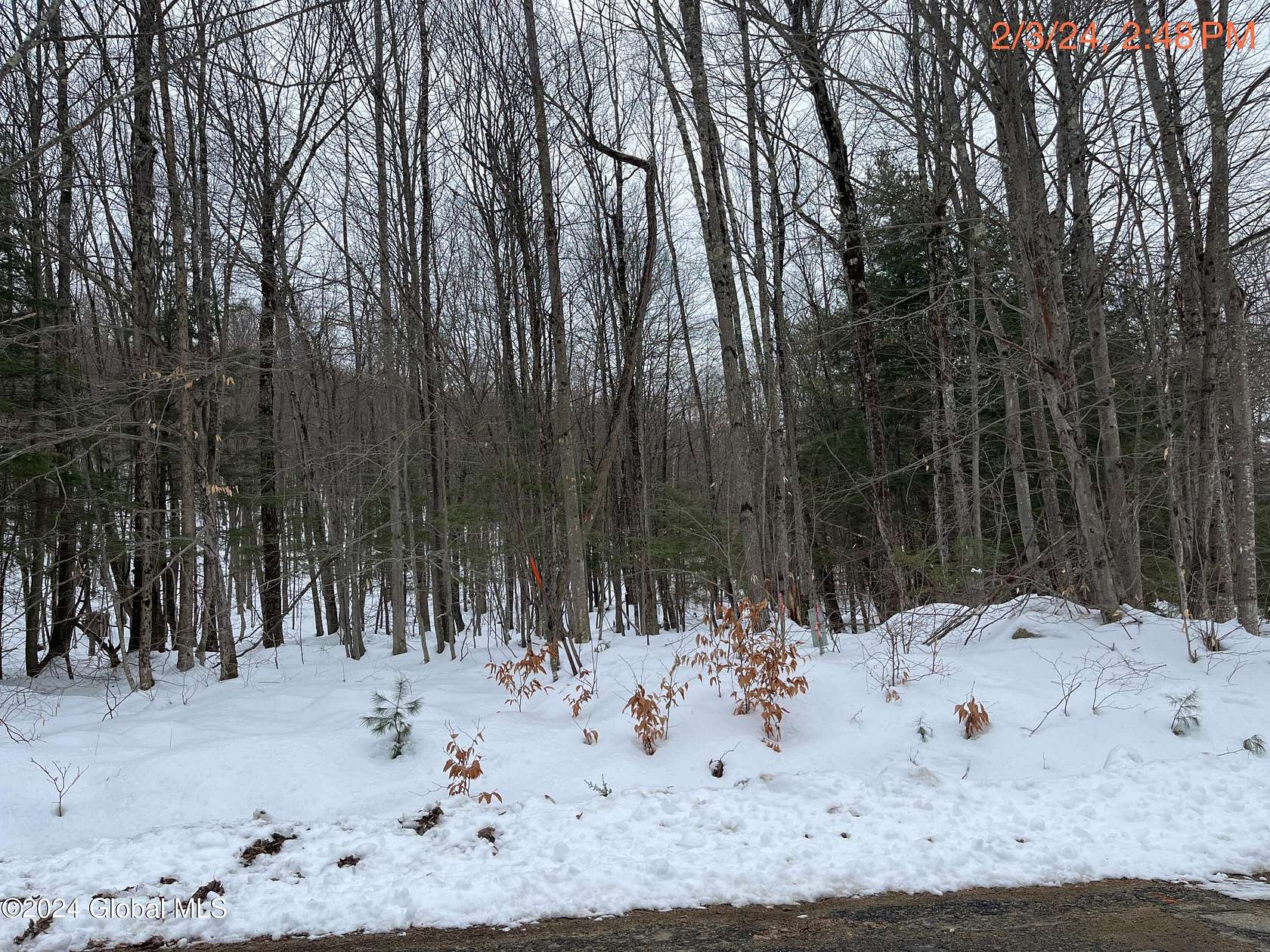 5.9 Acres of Land for Sale in Lake George, New York