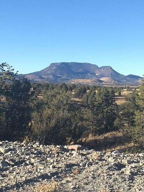 20 Acres of Land for Sale in Datil, New Mexico