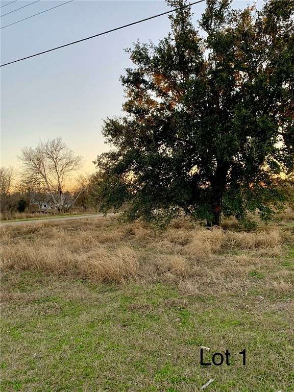 Land for Sale in Skidmore, Texas