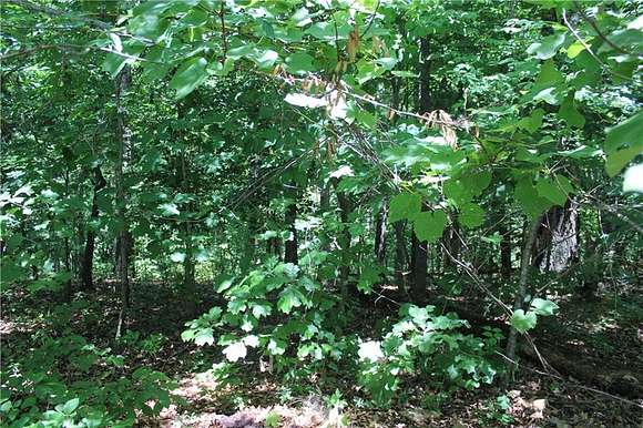 0.5 Acres of Residential Land for Sale in Bella Vista, Arkansas