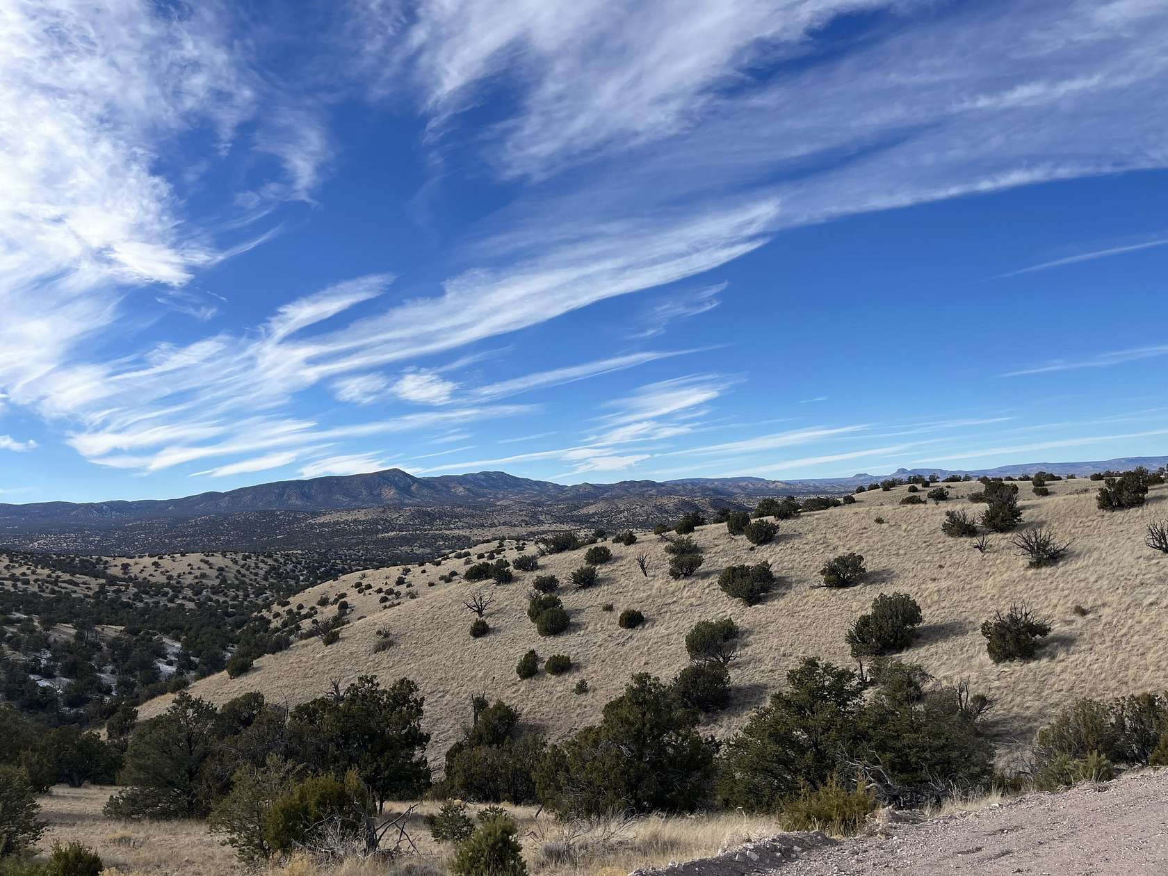 20 Acres of Land for Sale in Magdalena, New Mexico