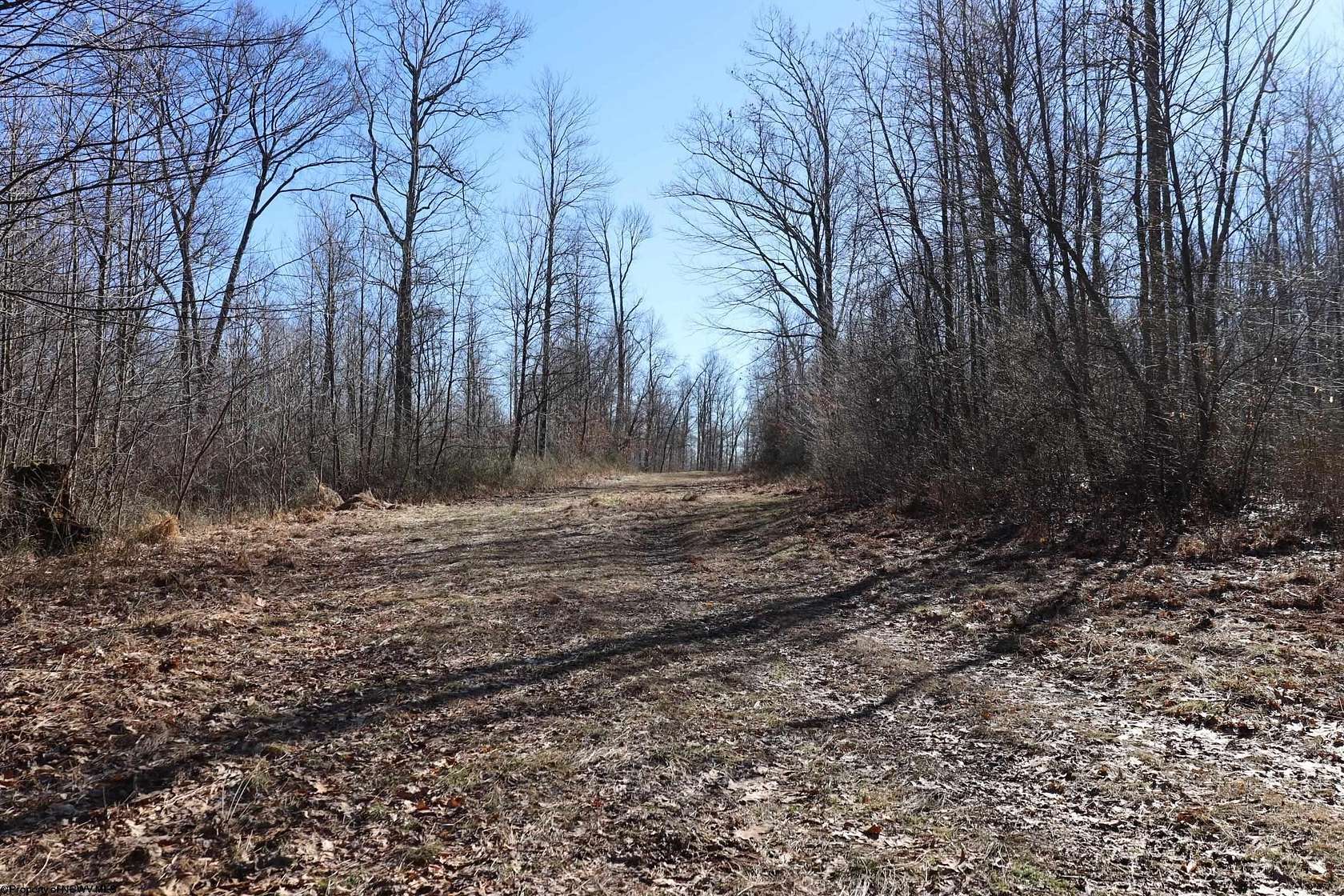 118 Acres of Recreational Land for Sale in Coalton, West Virginia