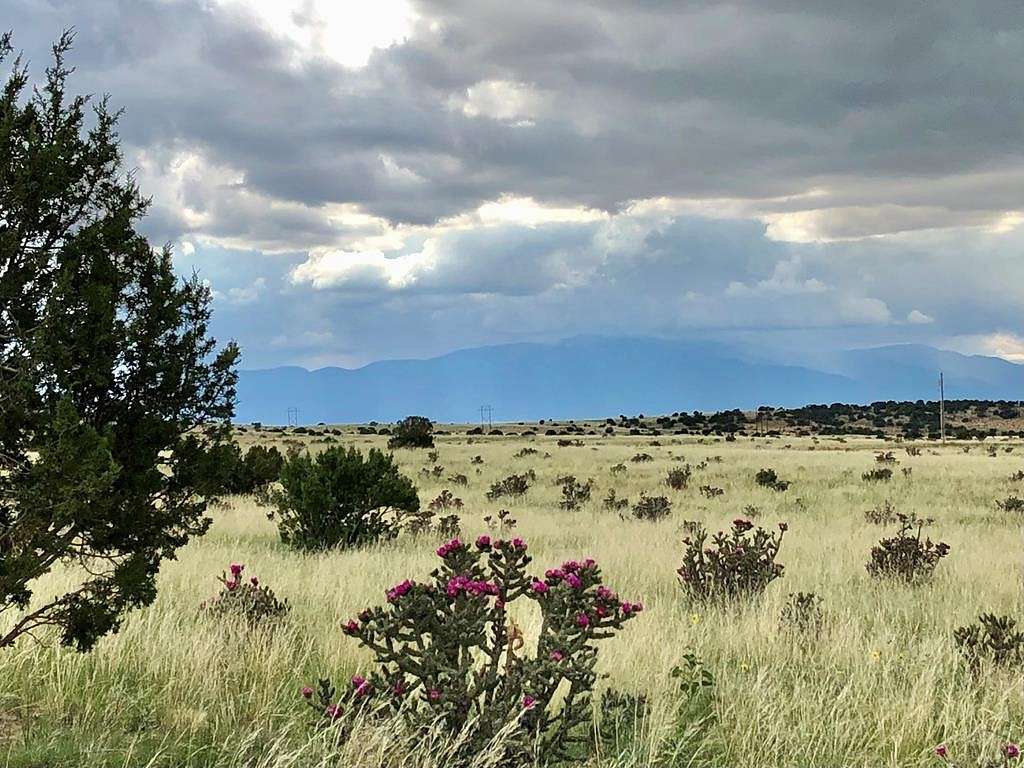 60 Acres of Recreational Land for Sale in Walsenburg, Colorado
