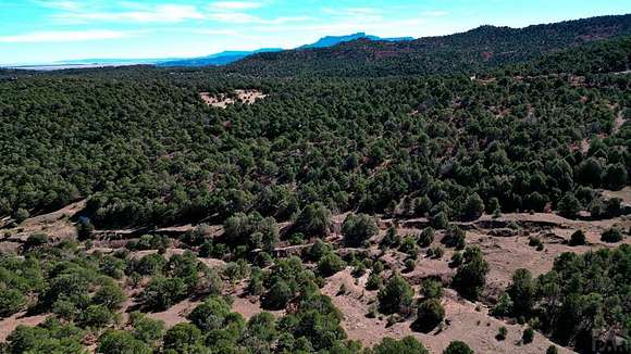 37.1 Acres of Recreational Land for Sale in Trinidad, Colorado