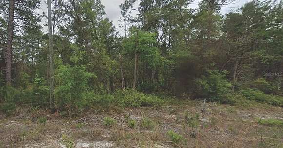 0.4 Acres of Residential Land for Sale in Satsuma, Florida