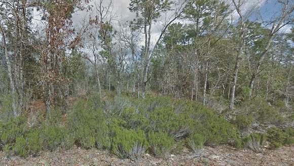 0.46 Acres of Residential Land for Sale in Interlachen, Florida