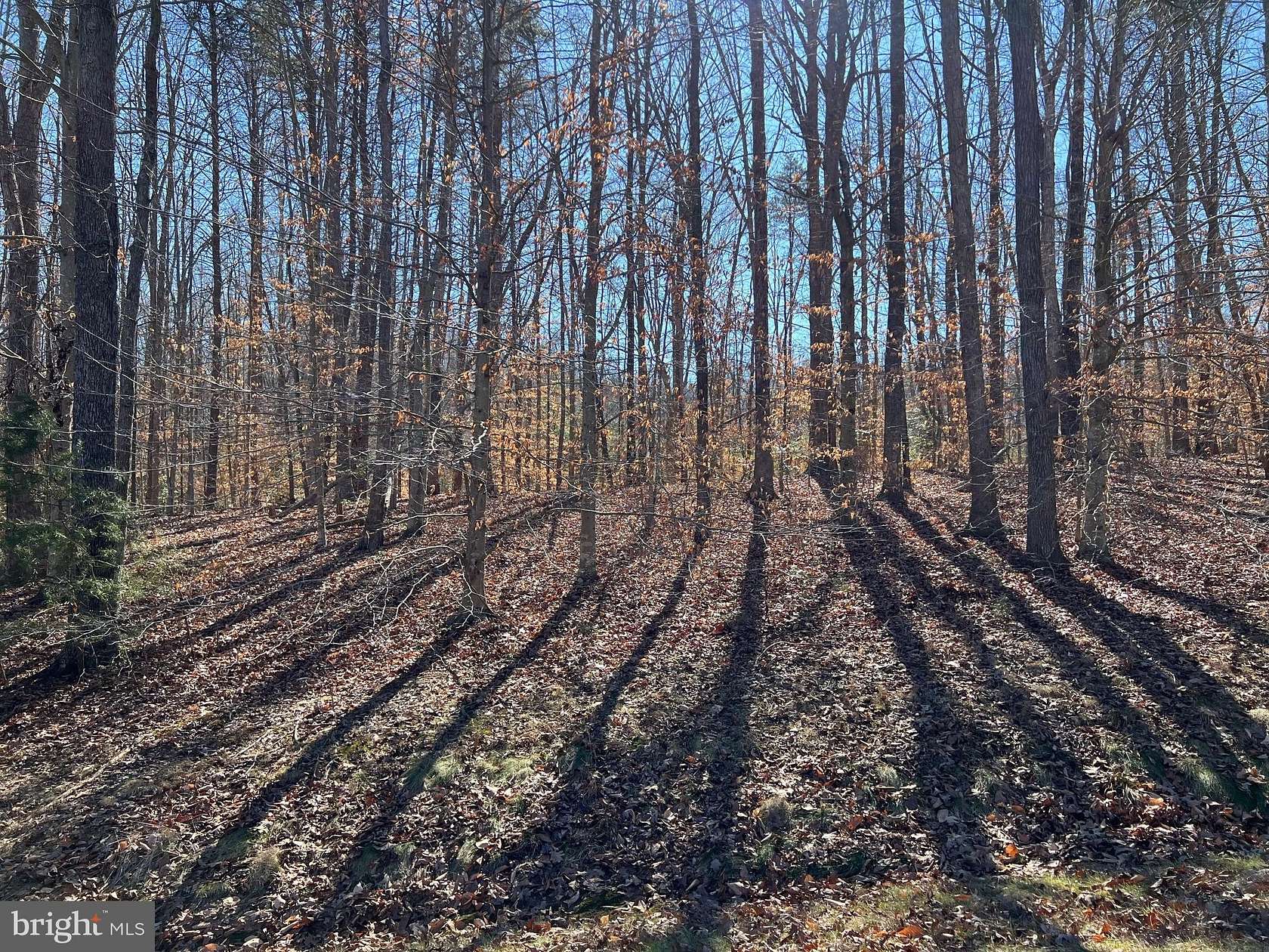 0.92 Acres of Land for Sale in Bumpass, Virginia