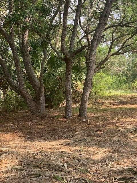 0.23 Acres of Residential Land for Sale in Carrabelle, Florida