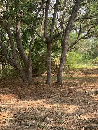 0.23 Acres of Residential Land for Sale in Carrabelle, Florida