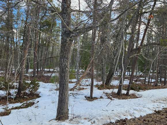 5.9 Acres of Residential Land for Sale in Ocqueoc, Michigan