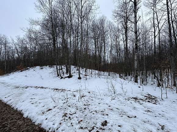 Land for Sale in Elmira, Michigan