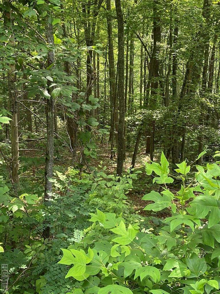 2.1 Acres of Land for Sale in Cullowhee, North Carolina