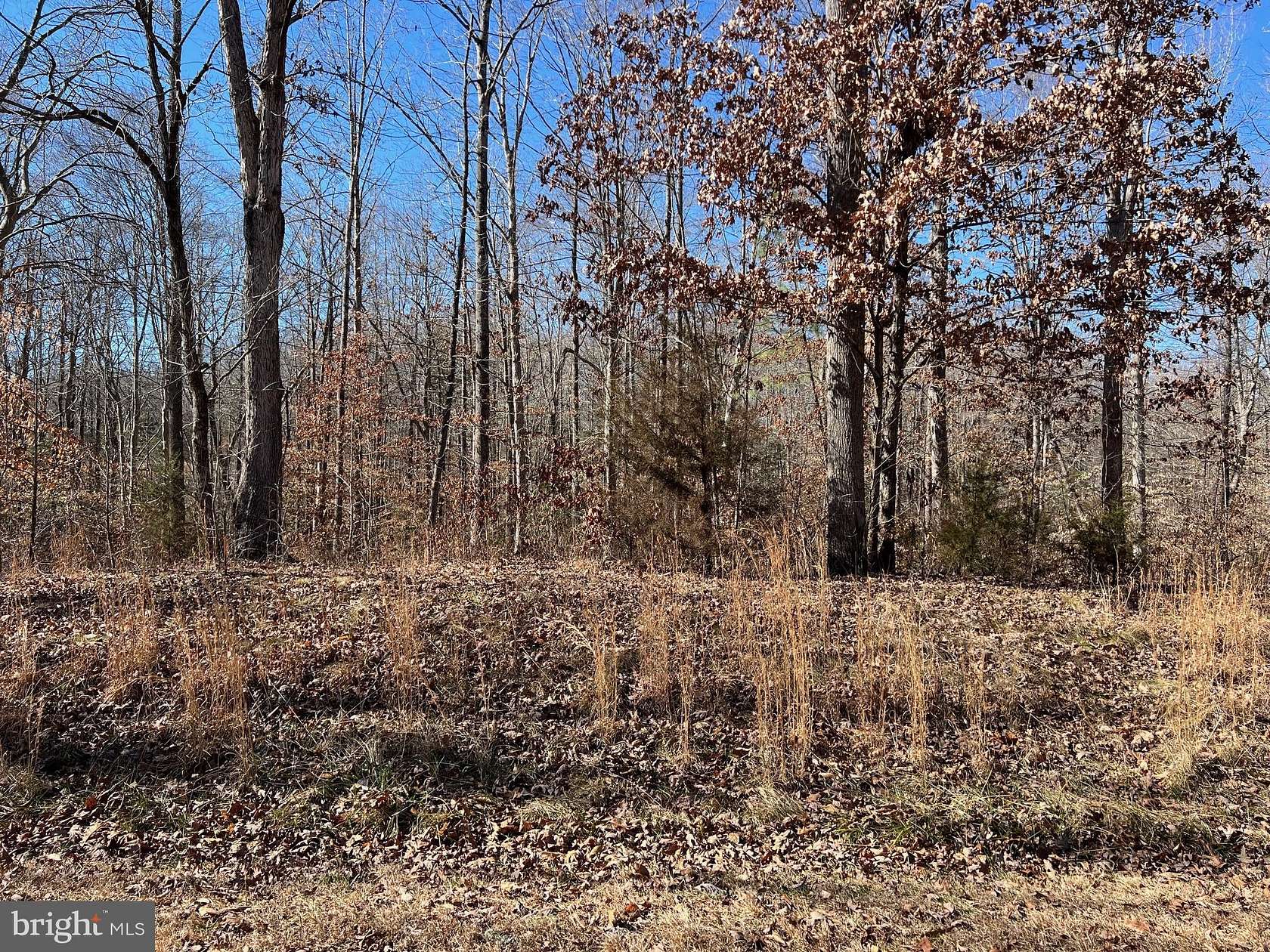 0.99 Acres of Land for Sale in Bumpass, Virginia