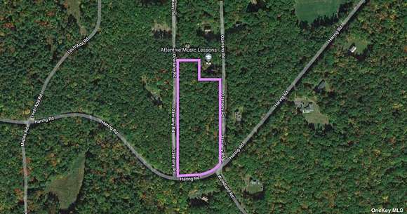 7.9 Acres of Residential Land for Sale in Lumberland Town, New York