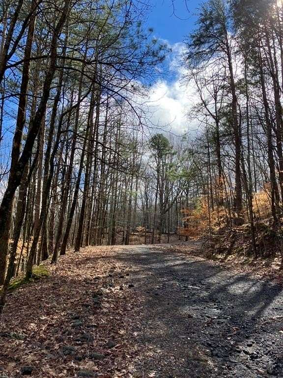 0.41 Acres of Residential Land for Sale in Waleska, Georgia