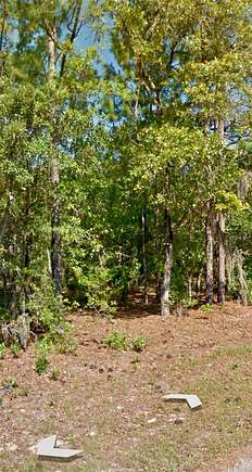 0.75 Acres of Residential Land for Sale in Citrus Springs, Florida