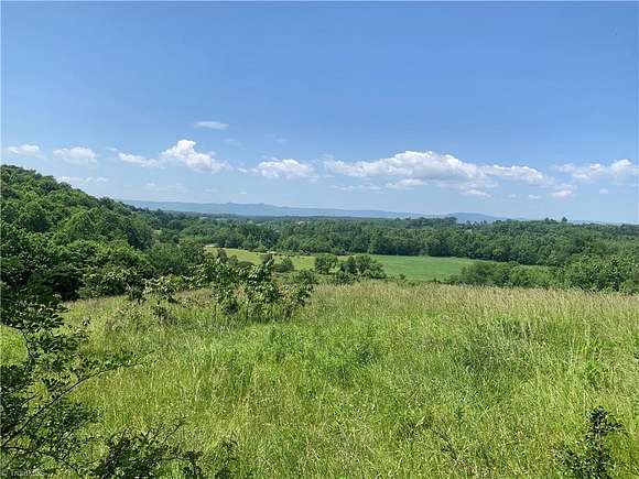 38.7 Acres of Agricultural Land for Sale in Mount Airy, North Carolina
