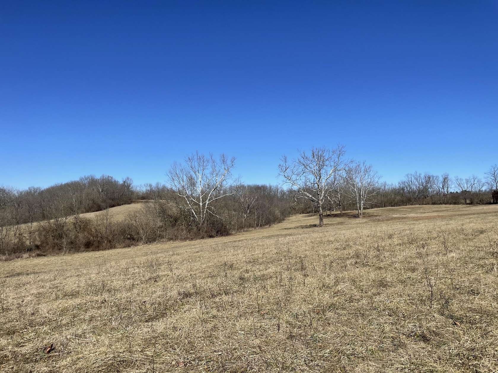 43 Acres of Land for Sale in Millersburg, Kentucky