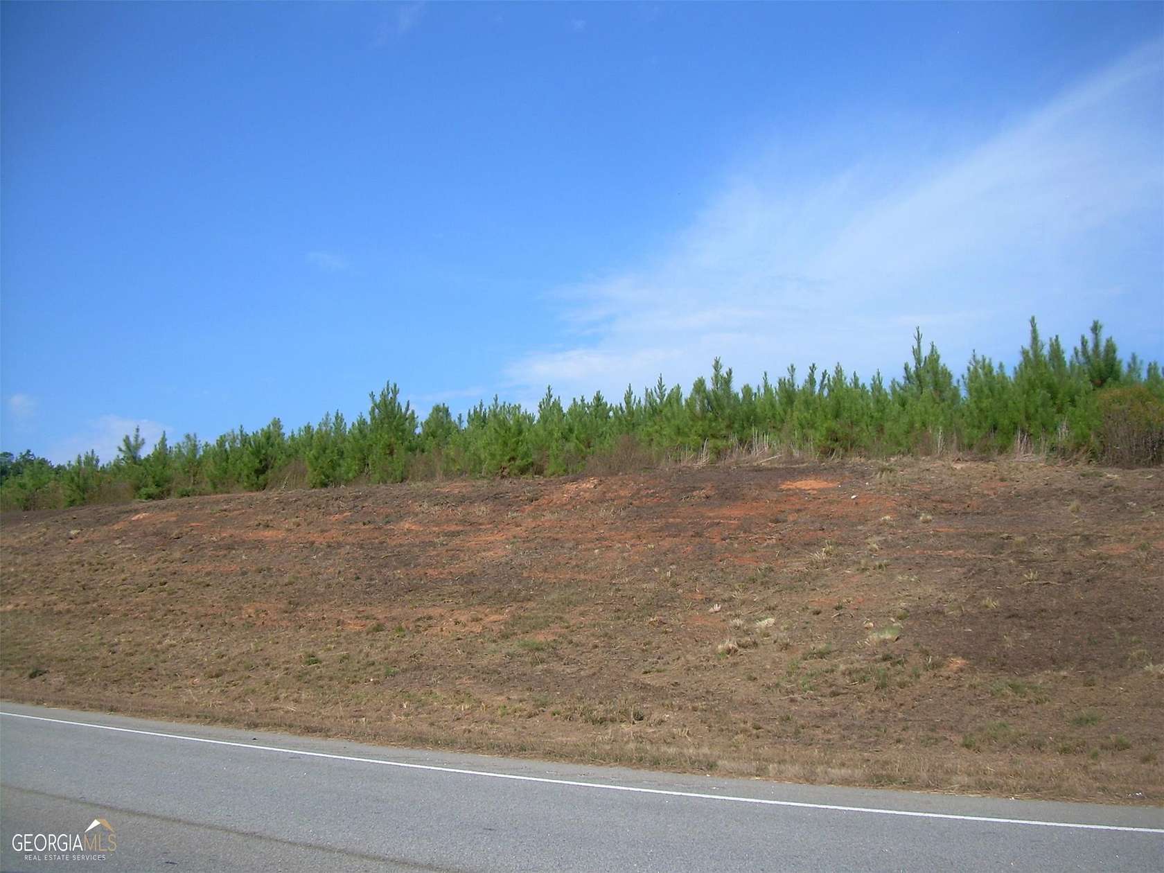 28 Acres of Commercial Land for Sale in Thomaston, Georgia