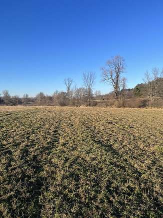 25 Acres of Agricultural Land for Sale in Rives Junction, Michigan