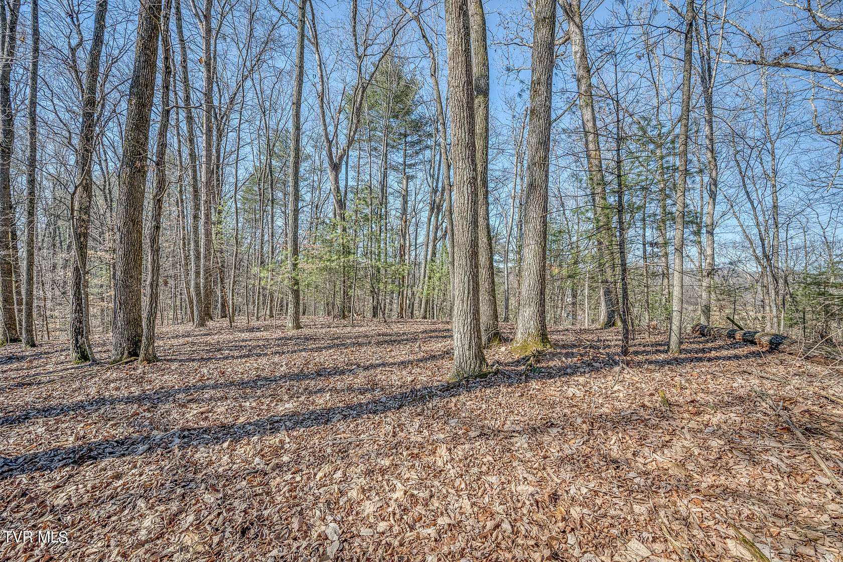 1.8 Acres of Residential Land for Sale in Abingdon, Virginia