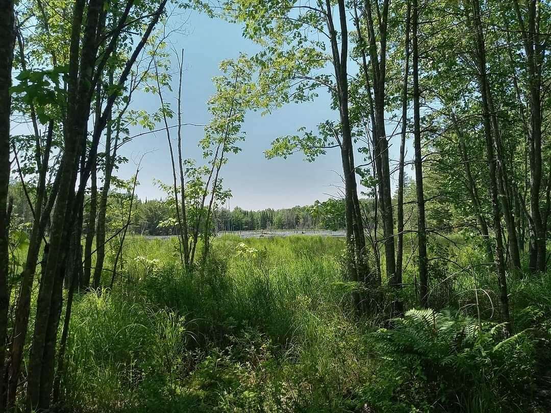 7.9 Acres of Residential Land for Sale in Glenburn Town, Maine
