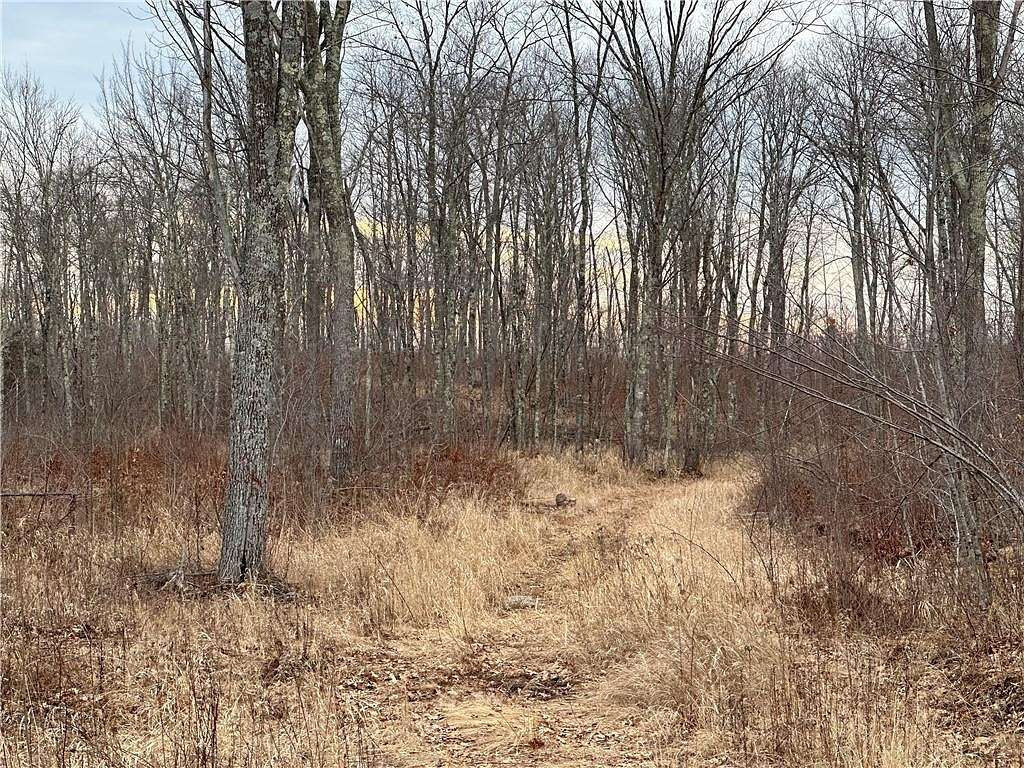 559.02 Acres of Recreational Land for Sale in Dairyland, Wisconsin