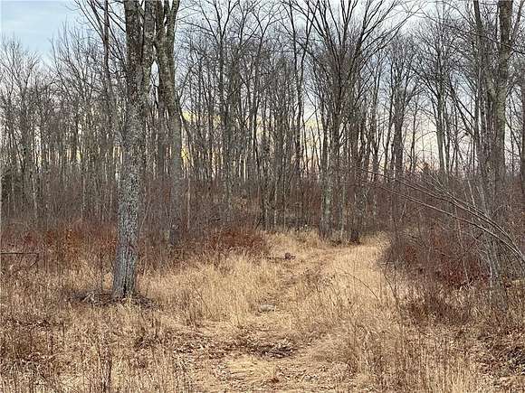 559 Acres of Recreational Land for Sale in Dairyland, Wisconsin