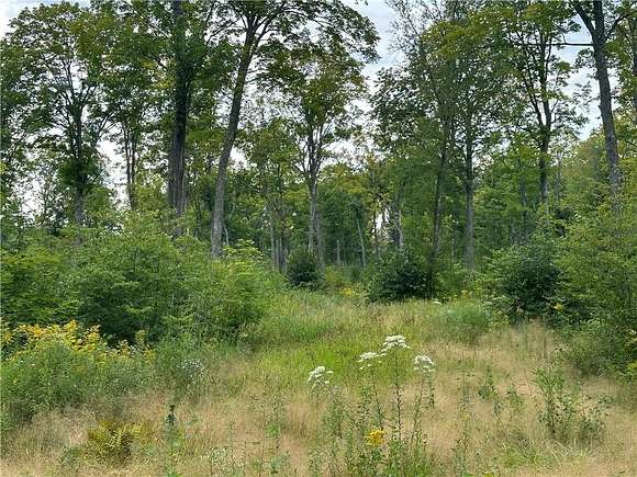 559.02 Acres of Recreational Land for Sale in Dairyland, Wisconsin