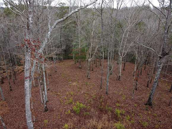 3.4 Acres of Residential Land for Sale in Ellijay, Georgia