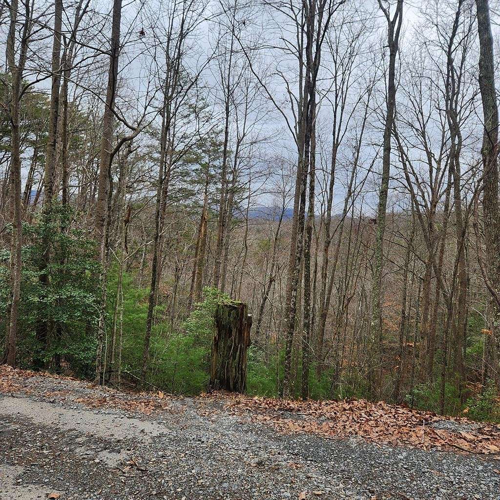 2 Acres of Residential Land for Sale in Blue Ridge, Georgia